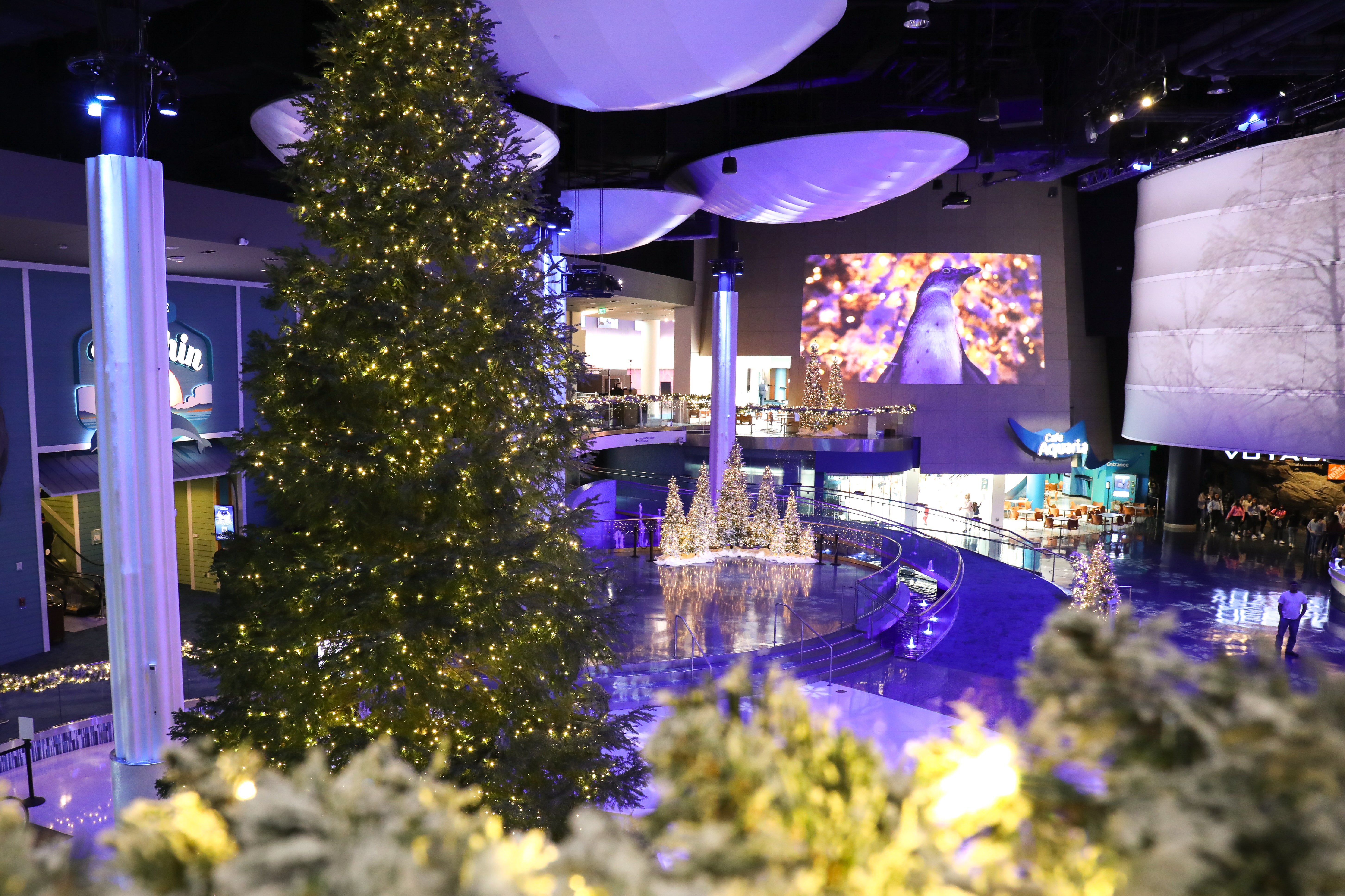 Experience the Magic of the Holidays at Georgia Aquarium 31