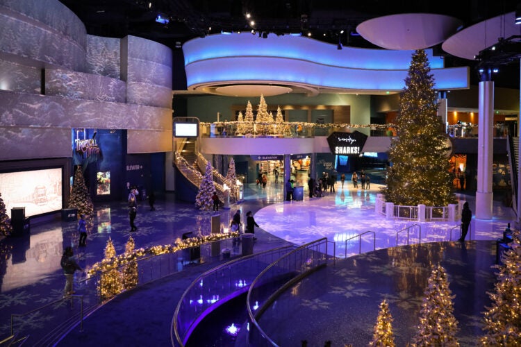 Experience the Magic of the Holidays at Georgia Aquarium 32