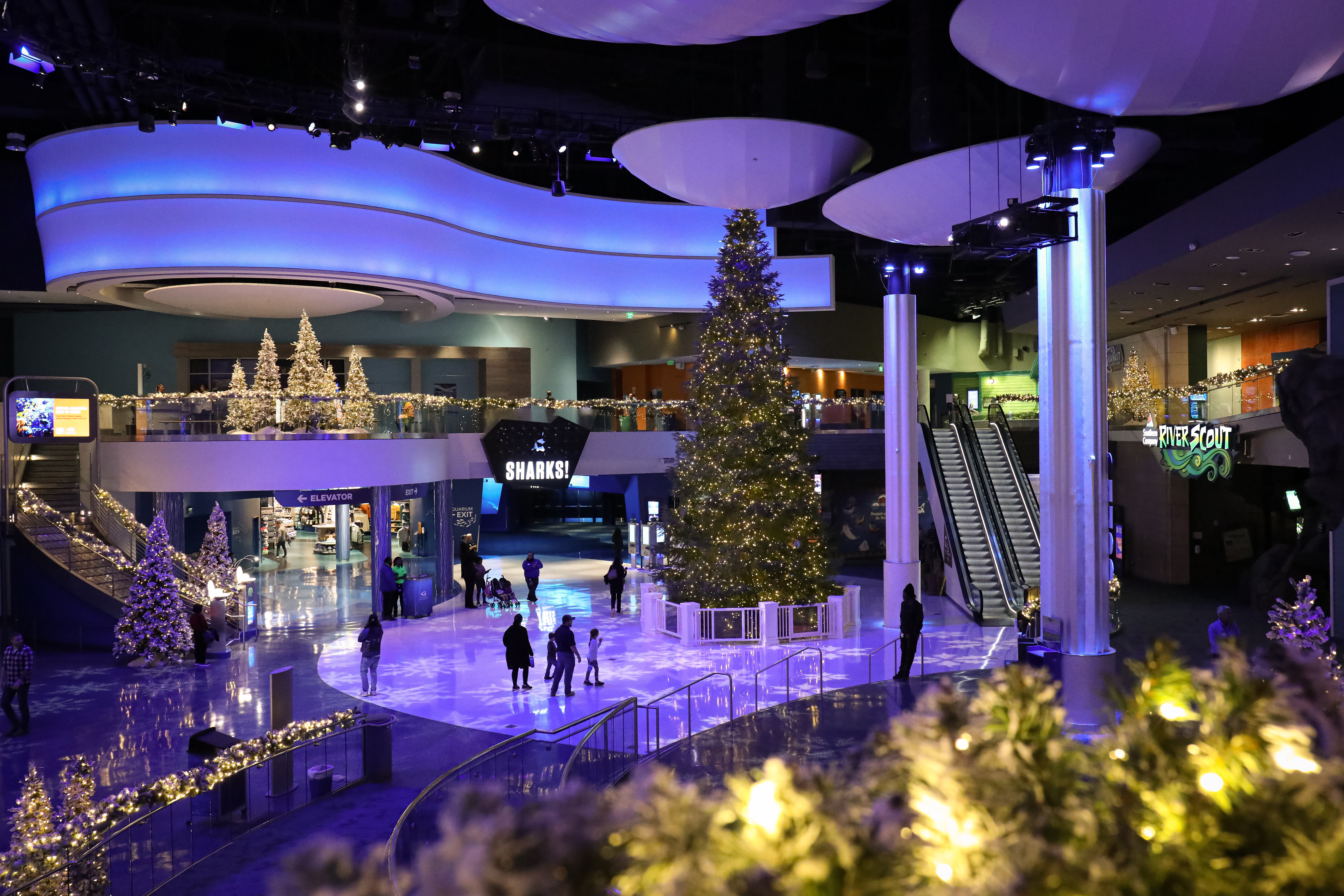 Experience the Magic of the Holidays at Georgia Aquarium 33