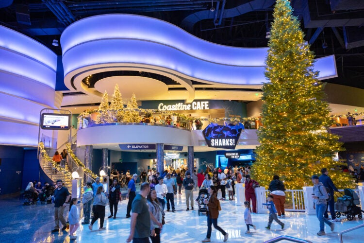 Experience the Magic of the Holidays at Georgia Aquarium 34