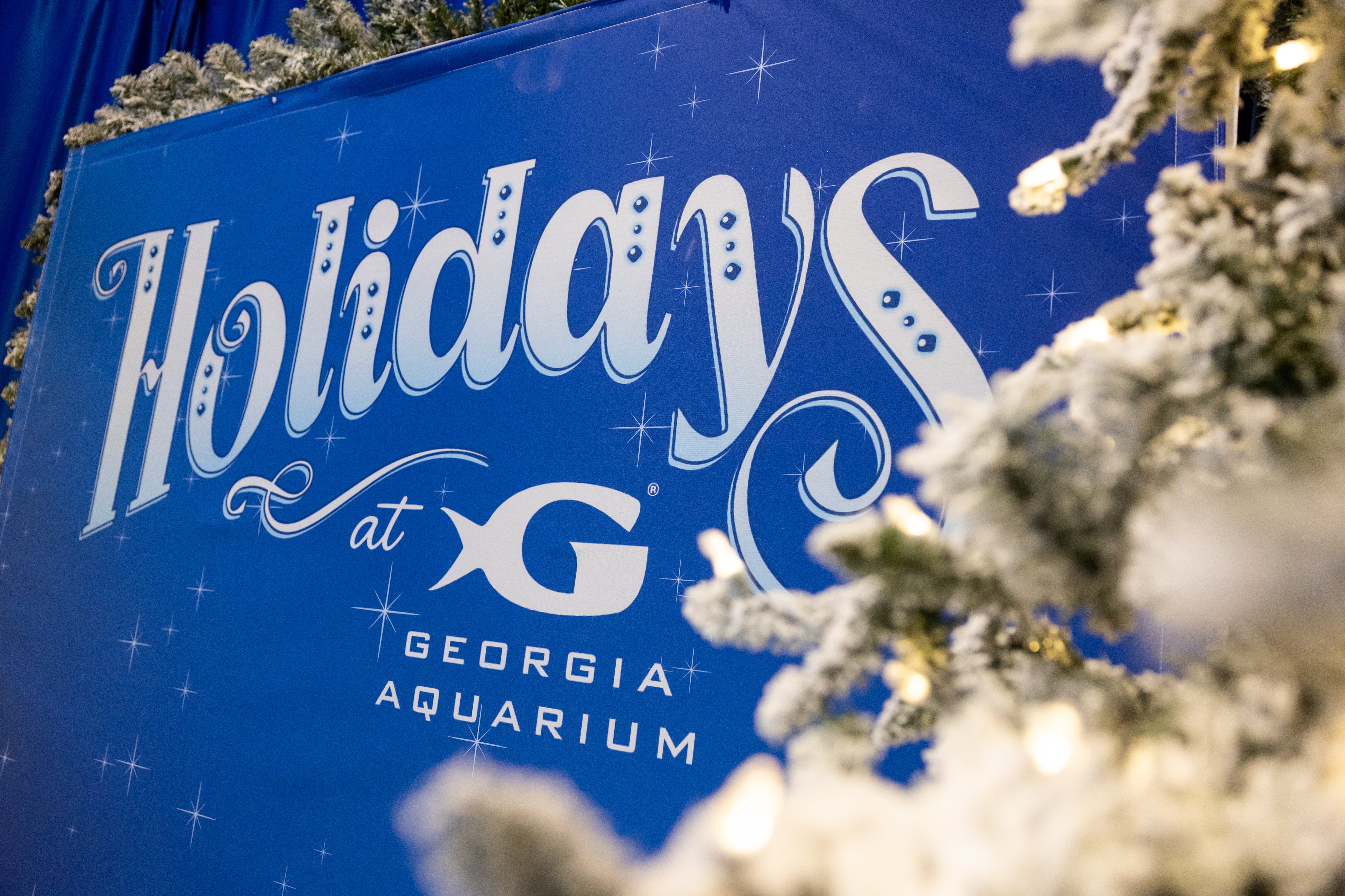 Experience the Magic of the Holidays at Georgia Aquarium 36