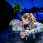 Experience the Magic of the Holidays at Georgia Aquarium 39