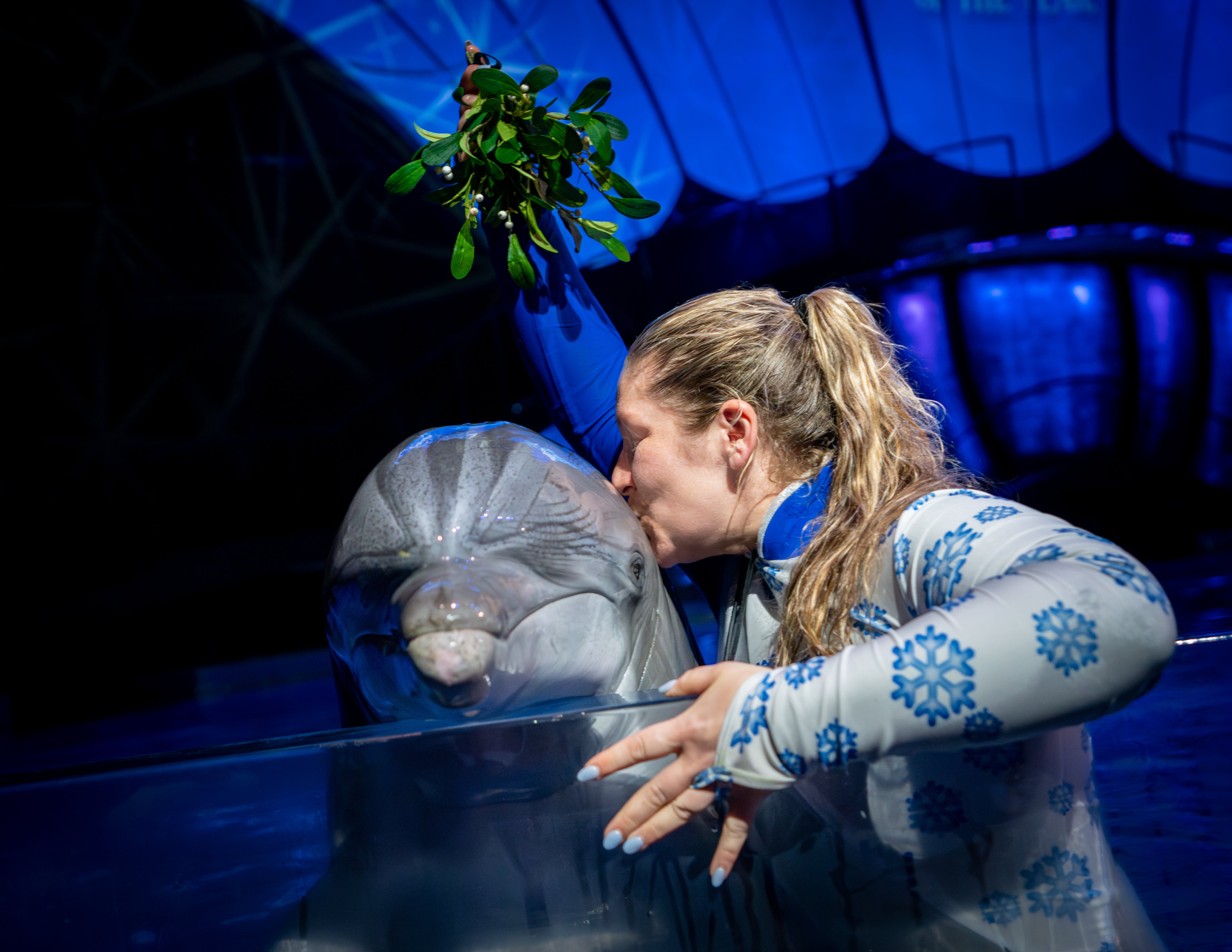 Experience the Magic of the Holidays at Georgia Aquarium 39