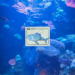 Surfacing Small Businesses 37