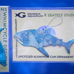 Surfacing Small Businesses 36