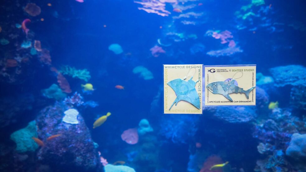 Surfacing Small Businesses 31