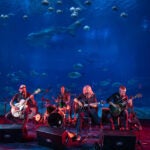 Big Window to Big Screen 5