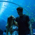 Big Window to Big Screen 12