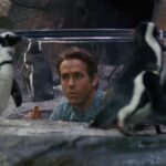 Big Window to Big Screen 7