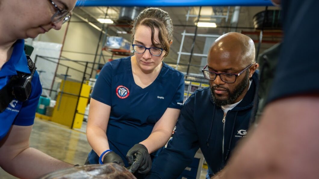 Celebrating 20 Years of Georgia Aquarium 15