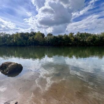 Diving into Freshwater: Georgia Aquarium’s Fresh Focus on Local Rivers