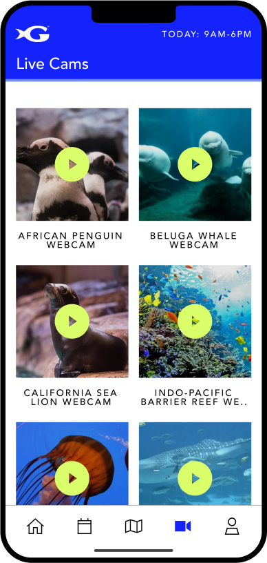 Georgia Aquarium Explorer App 11