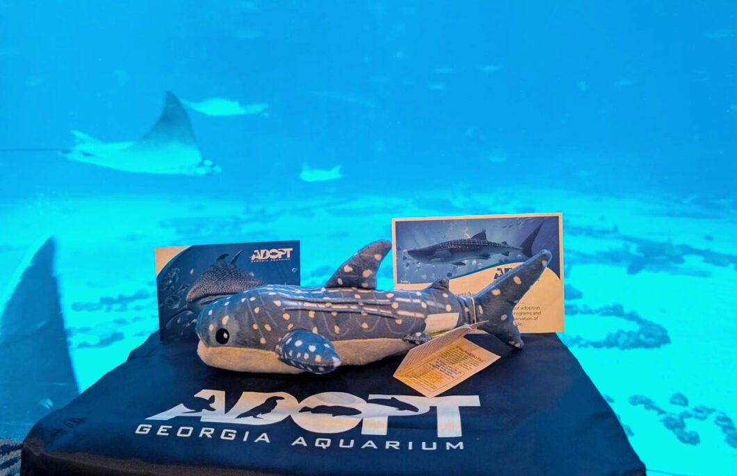 Adopt an Animal Program 6