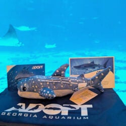 Adopt an Animal Program 6