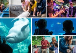 Twenty Years Of Guest Experiences