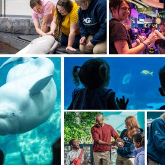 Twenty Years Of Guest Experiences