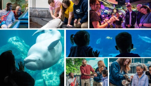 Twenty Years Of Guest Experiences