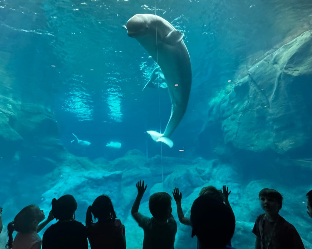 Summer Camp H2O June Week 1 1