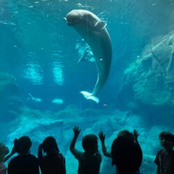 Summer Camp H2O June Week 1 1