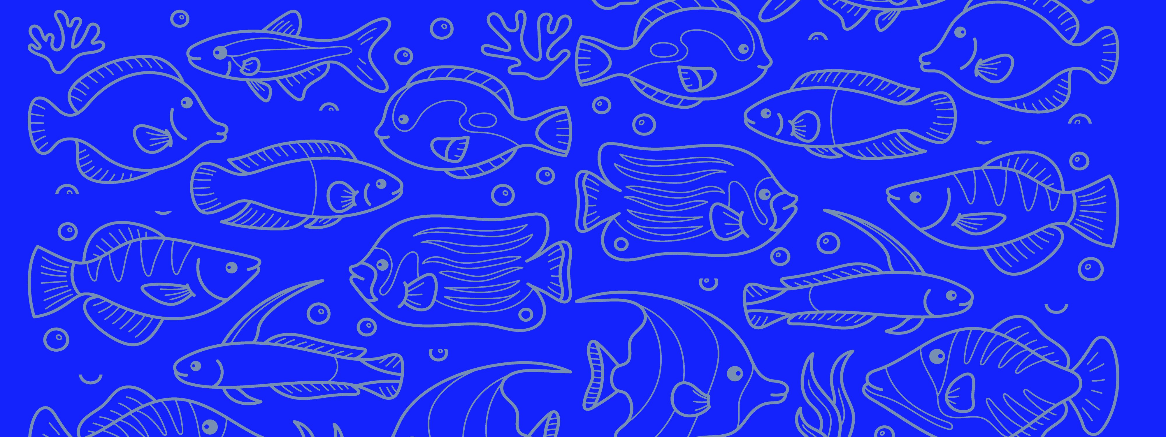 Summer Camp H2O June Week 1 3