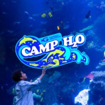 Summer Camp H2O July 27–July 31