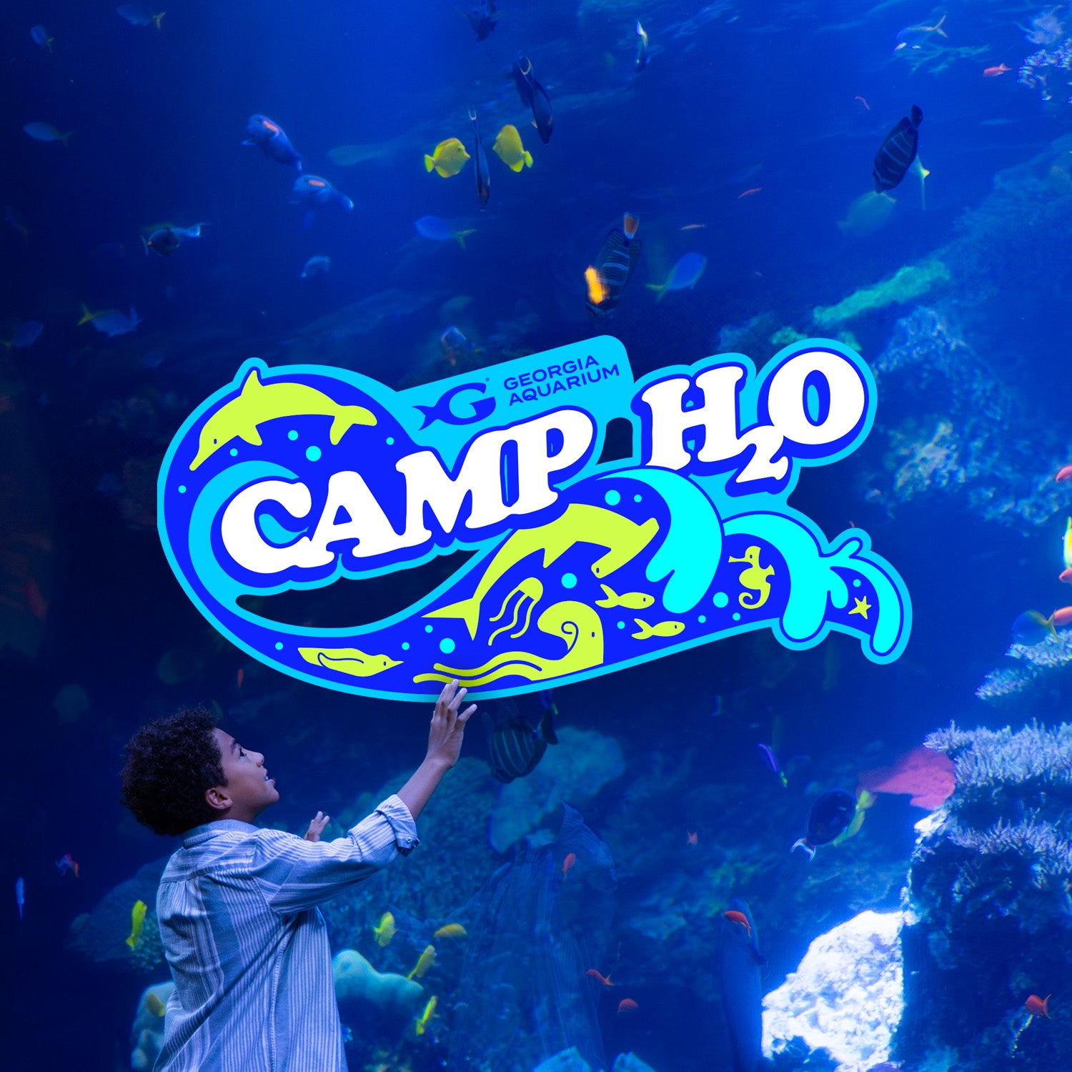 Summer Camp H2O July 27–July 31