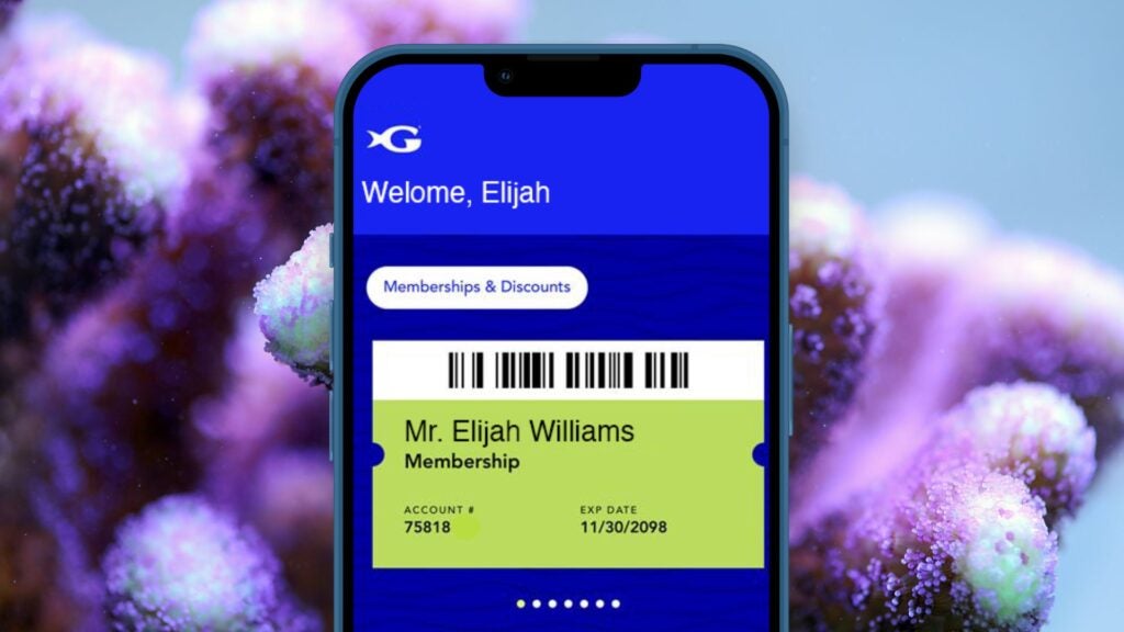 Georgia Aquarium Membership 19