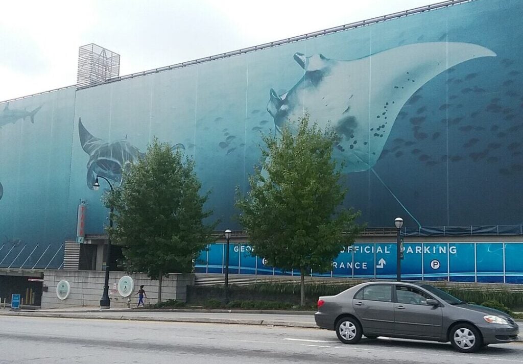 Georgia Aquarium Membership 23