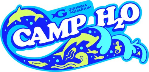 Camp H2O 19