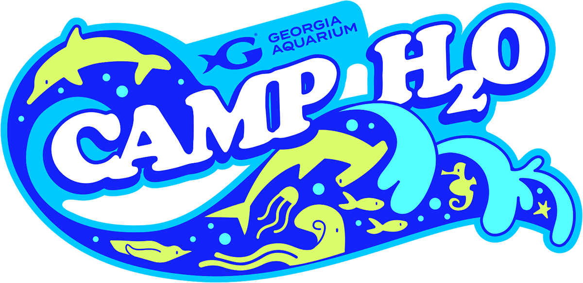 Camp H2O logo