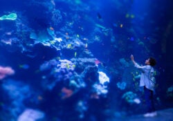 Camp H2O Parent Guardian Guide 2026 12