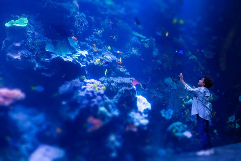 Camp H2O Parent Guardian Guide 2026 12