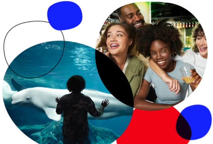 Buy Online and Save | Visit Today | Georgia Aquarium | Located in Downtown Atlanta, Georgia 96