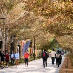 Family-Friendly Guide to February Winter Break 7