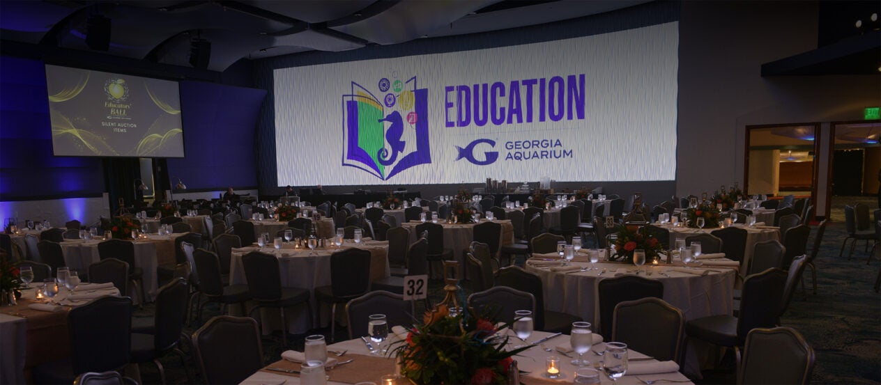 Georgia Aquarium Educators' Ball 3