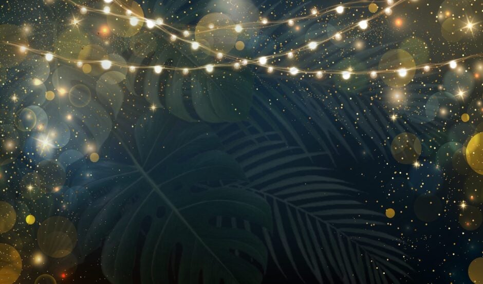 Georgia Aquarium Educator's Background