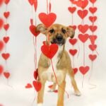 Make a Splash with These Unique Date Ideas in Atlanta 15