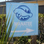 Manatee Rehabilitation: From Rescue to Release 2