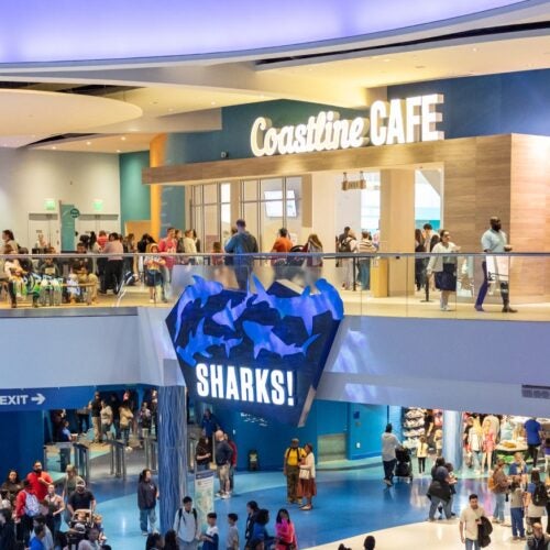 Ways to Save at Georgia Aquarium