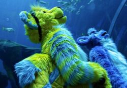 FWA Takeover at Georgia Aquarium 6