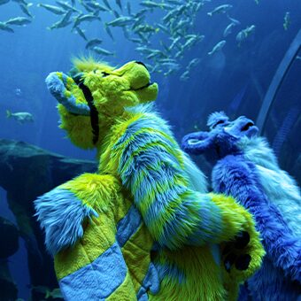 FWA Takeover at Georgia Aquarium 6