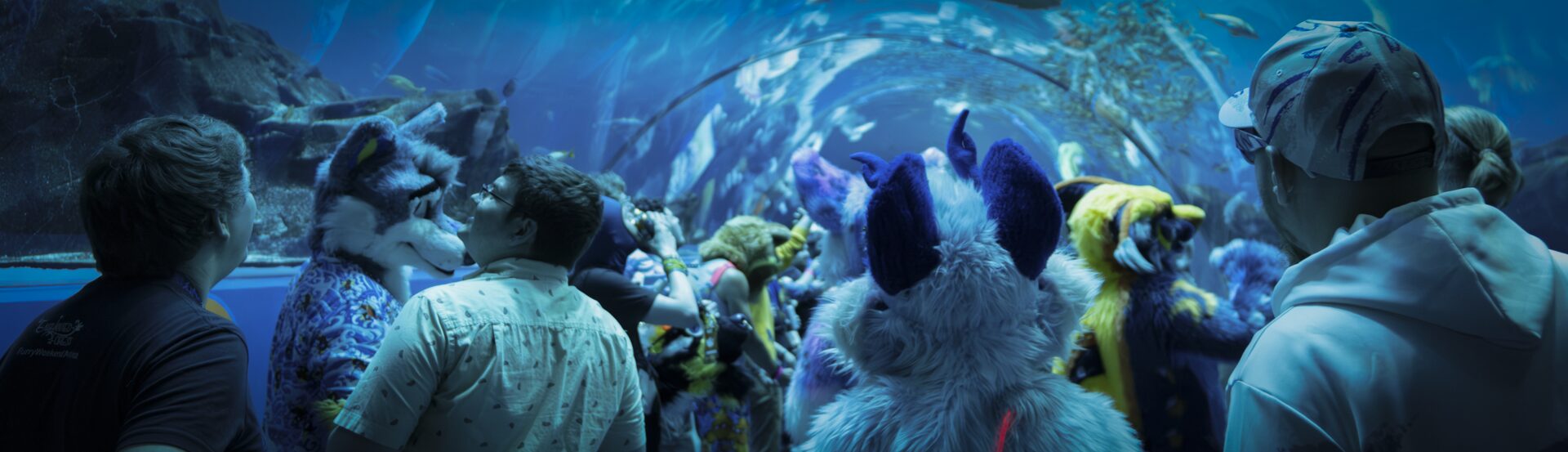 FWA Takeover at Georgia Aquarium 4