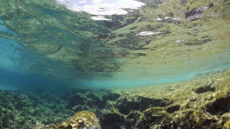 Hidden Rivers: A Free Film Screening 1