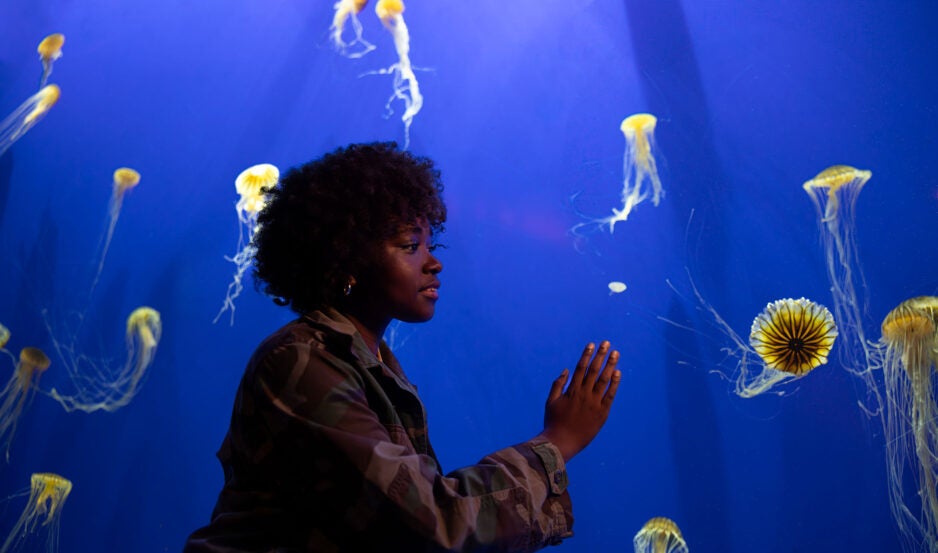 Georgia Aquarium membership.
