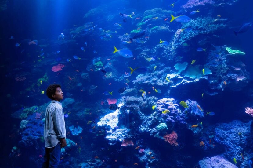 Join Now: Save 10% on Membership 2