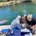 Listening to the Ocean: Meet Dr. Paige Stevens-Sánchez, the Scientist Studying How Ocean Noise Shapes Animal Behavior 3