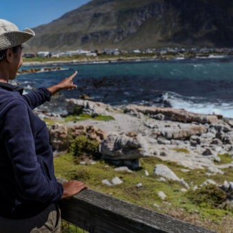 On the Front Lines for Penguins: Inside SANCCOB’s Seabird Ranger Program