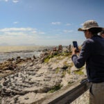 On the Front Lines for Penguins: Inside SANCCOB’s Seabird Ranger Program 1