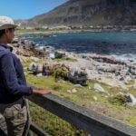 On the Front Lines for Penguins: Inside SANCCOB’s Seabird Ranger Program 2