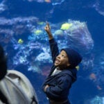 Spring Break in Atlanta 2026 6